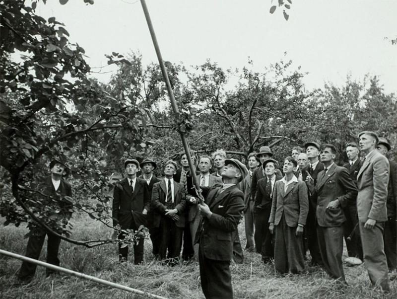 Familiebedrijf met wortels in de boomgaard zelf