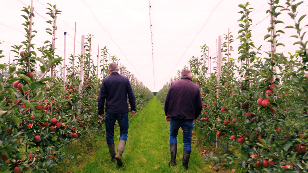 Passie hardfruit (appels), Vogelaar Vredehof